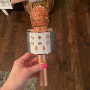 Wireless microphone hifi speaker